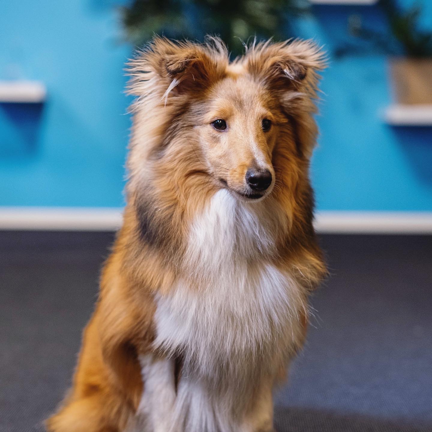 Portrettbilde av Billy